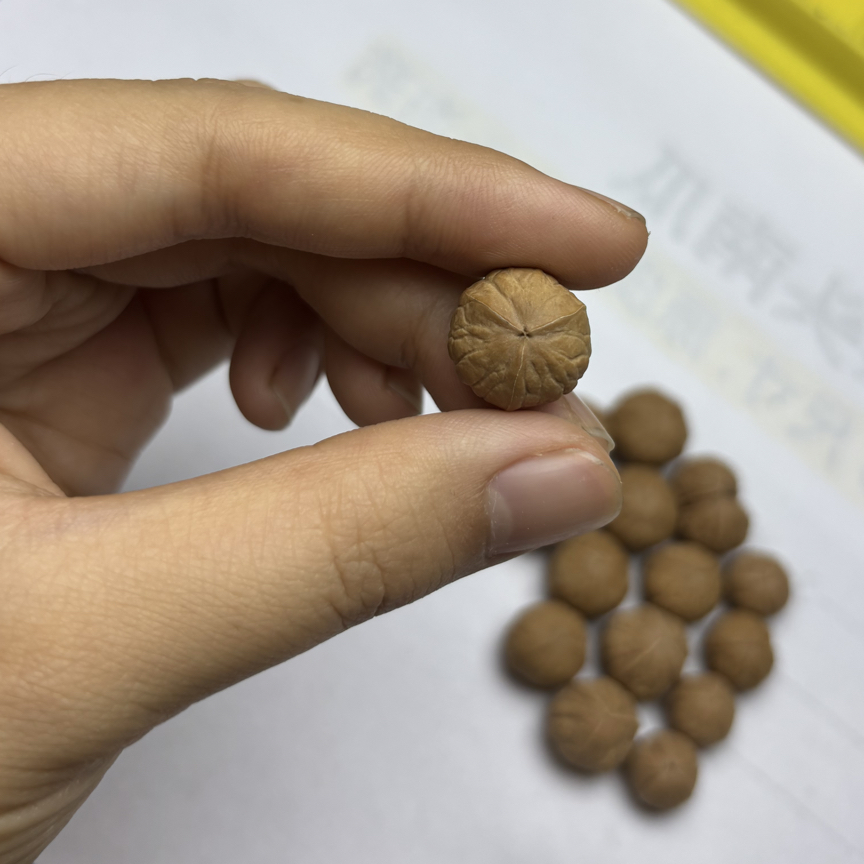 南瓜三棱大奔 三通配饰手持配件猴头核桃（联系客服备注尺寸）