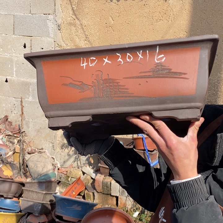 红陶在家里面父亲说