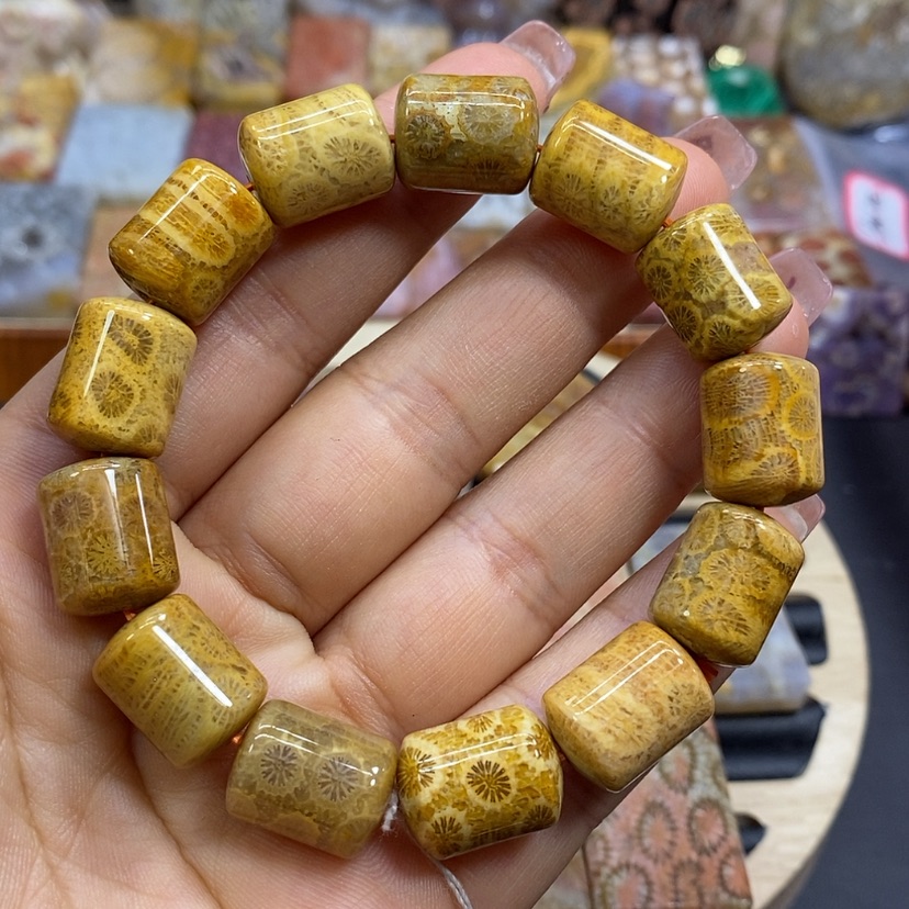 【闪购商品】硅化珊瑚（珊瑚玉）颈饰未镶嵌K2