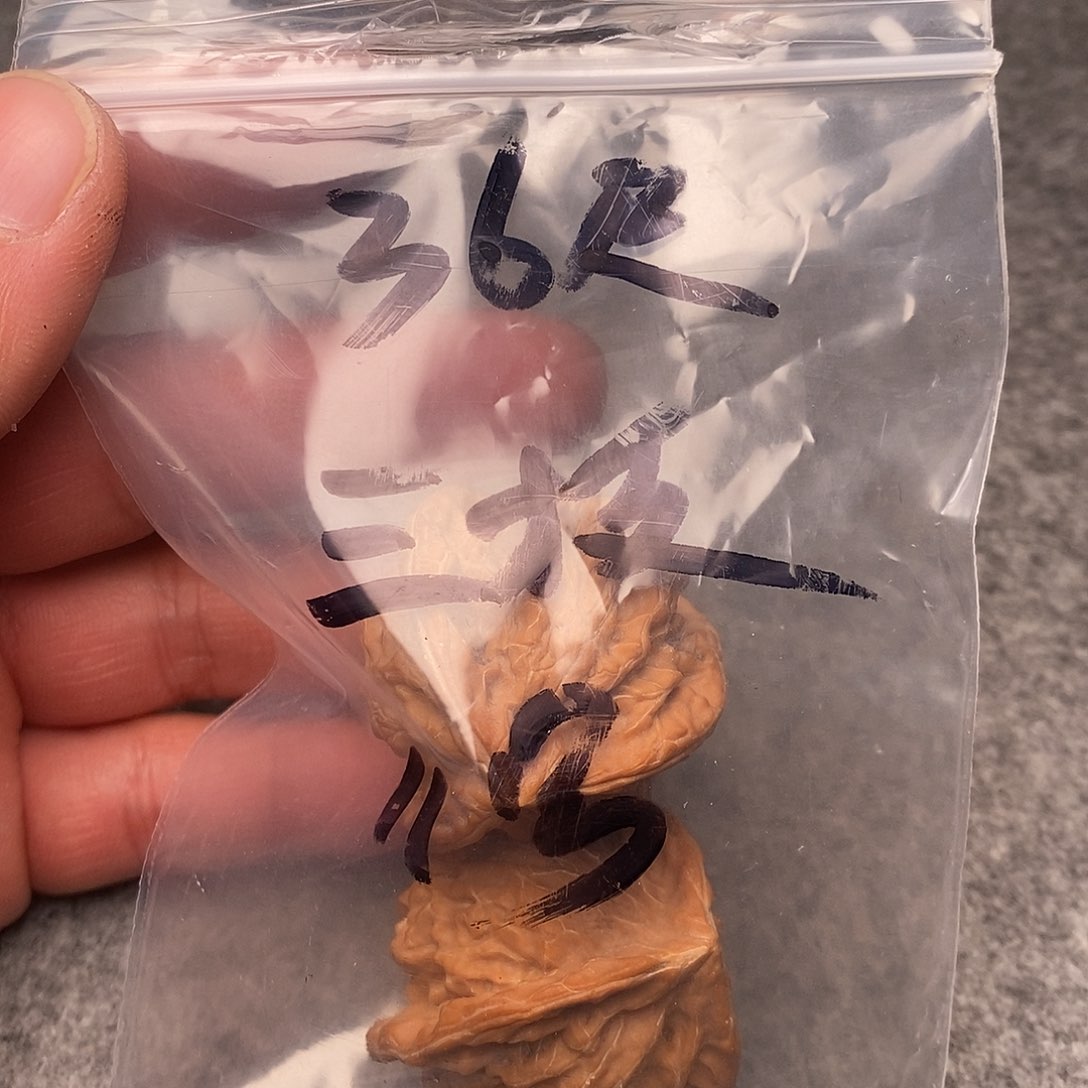 文玩核桃把件三棱