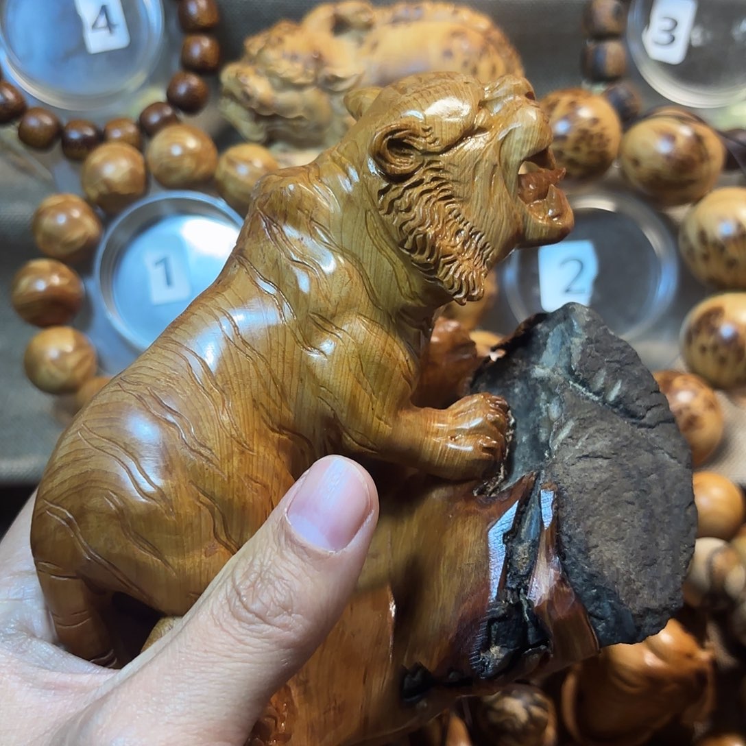 清***心柏木（崖柏）崖柏老虎卡抱石头