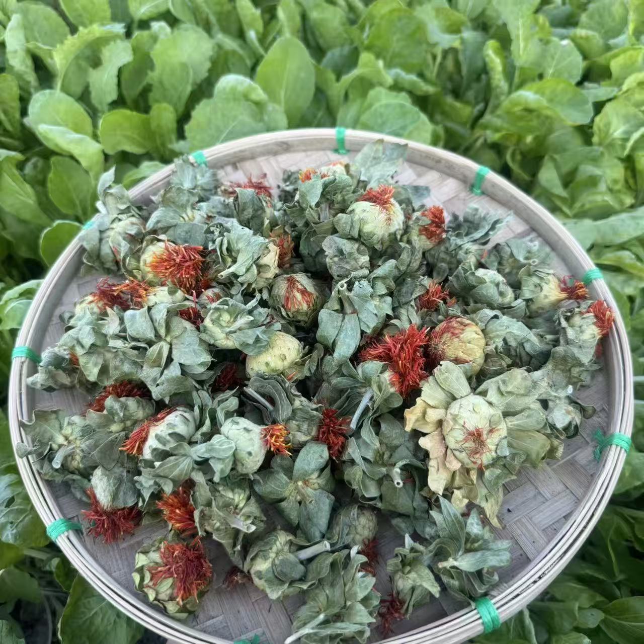 正宗红花果 可泡水