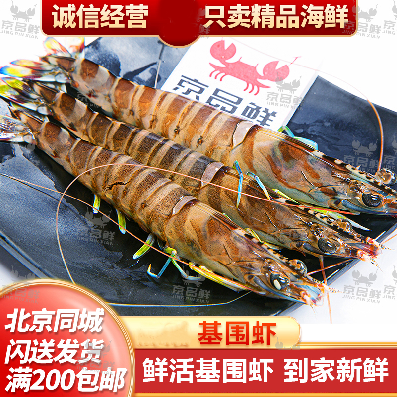 一斤应季鲜活海鲜基围虾北京闪送