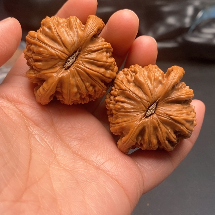 文玩核桃把件球白43尺