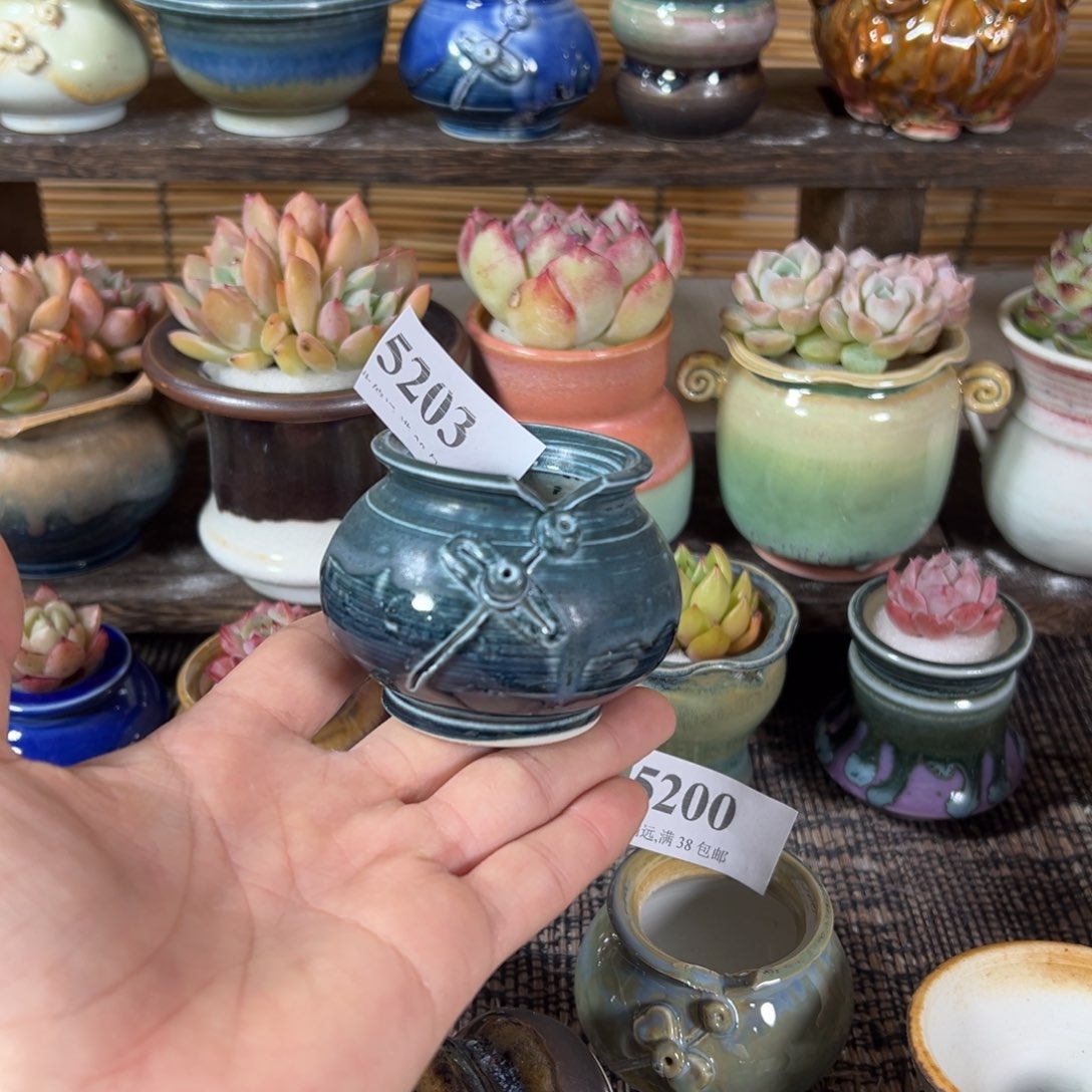 红陶景德镇陶瓷……