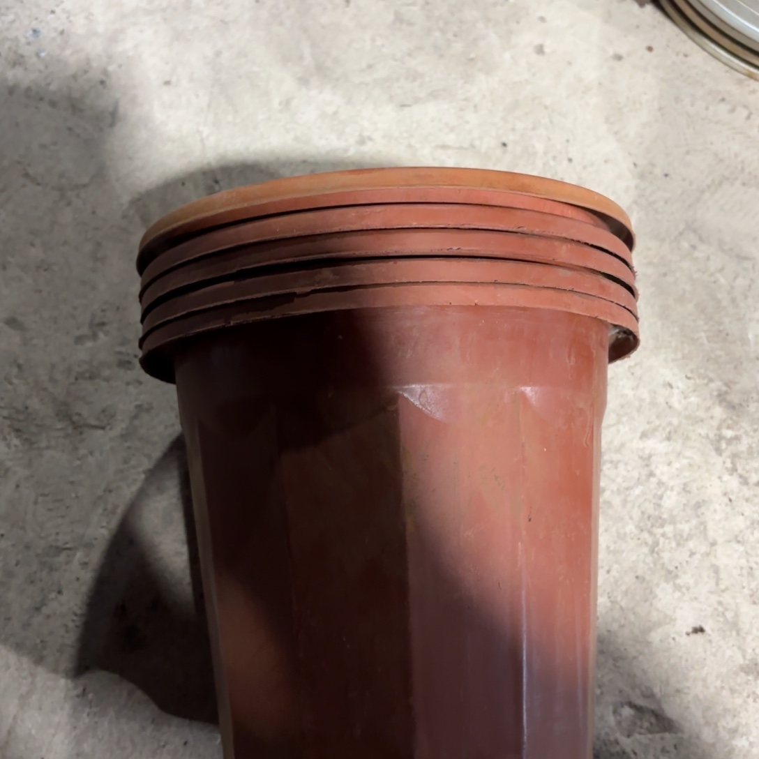 红砖盆19✖️17发18个