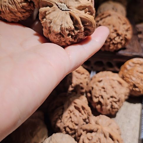 吊坠文玩核桃43白狮子