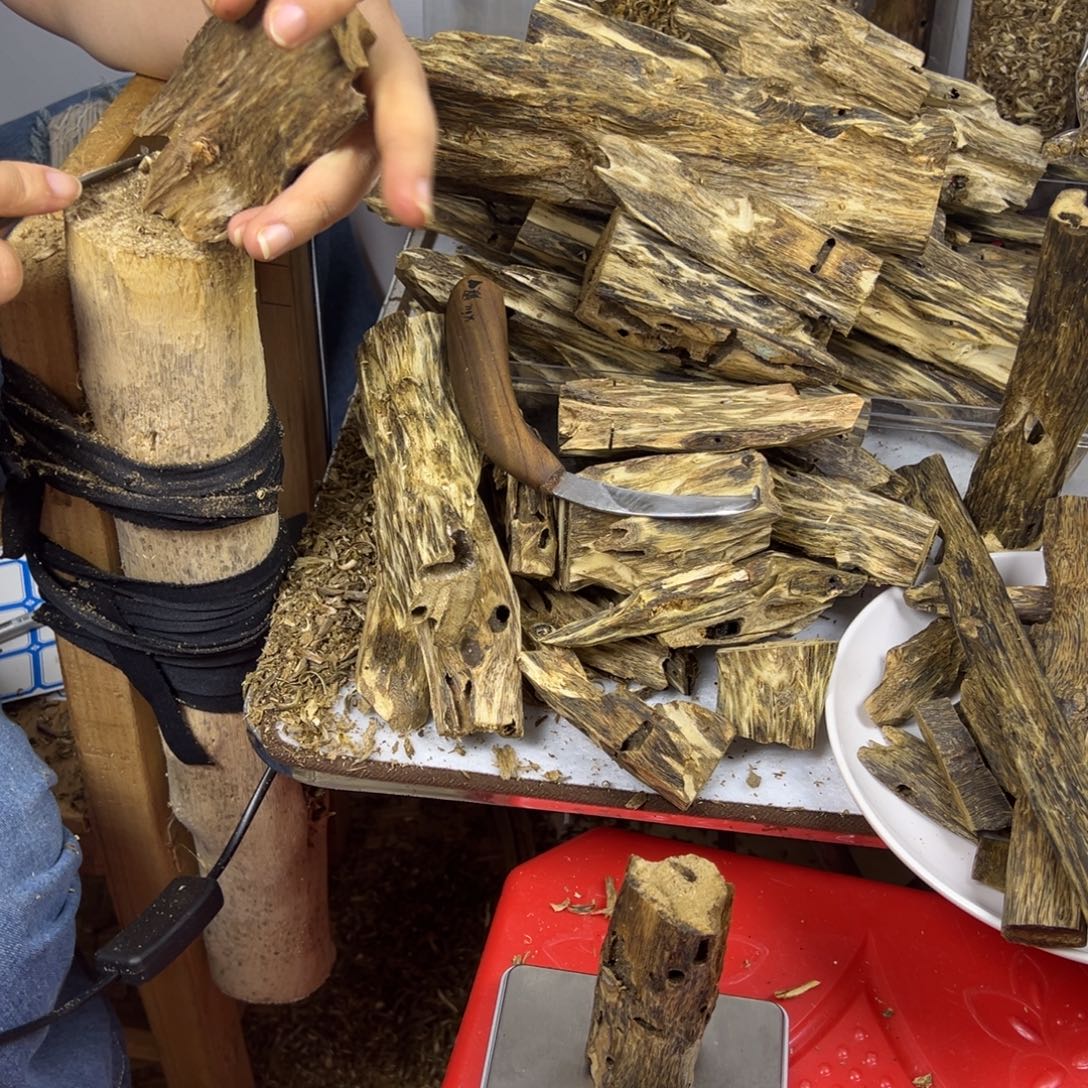 线香奇楠虫漏香38克