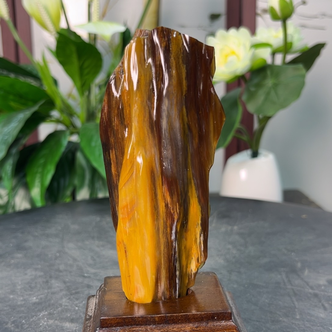 硅化玉（树化玉）摆件未镶嵌