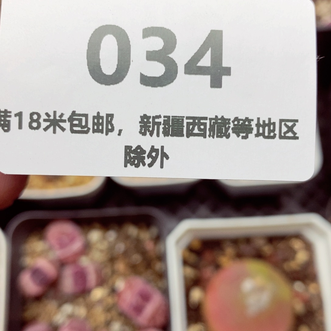 雨***我的小姐姐们都是我在034