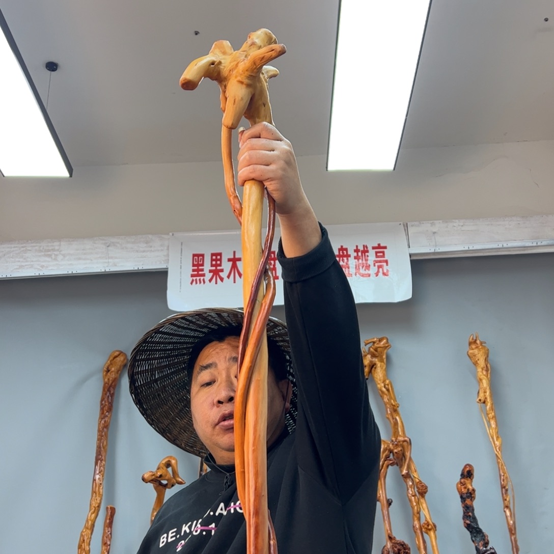 黑果木其他黑果木290