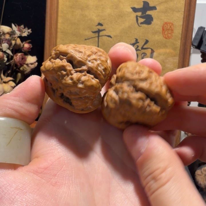 ****全品无修四开背蛤蟆头红皮小毕业