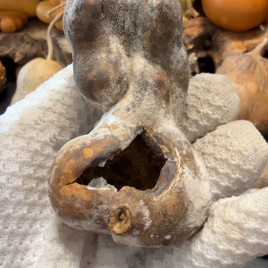 友****66666777777788888