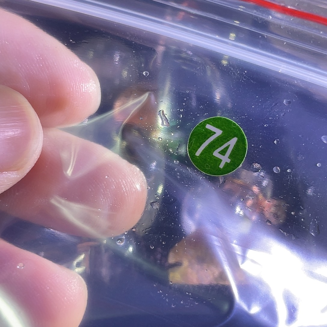 冠***恒发晶颈饰未镶嵌水