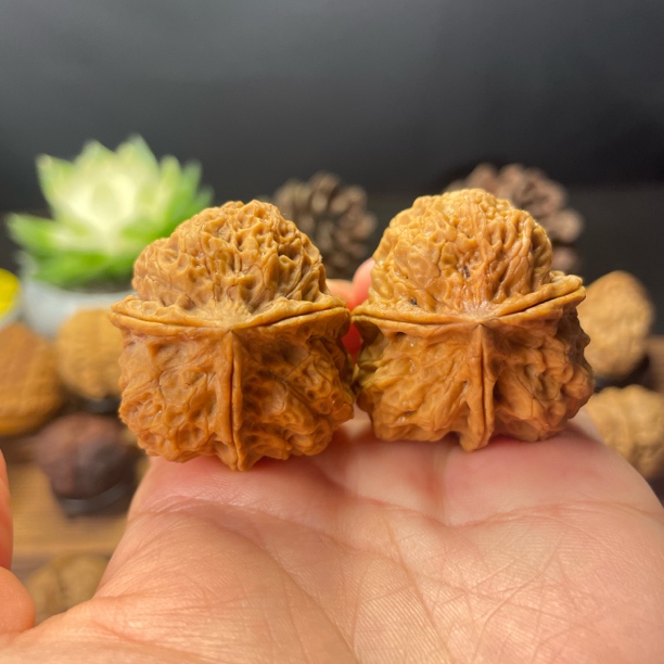 37尺寸  龙纹石斧三棱（云南铁核桃一物一图产地直发）