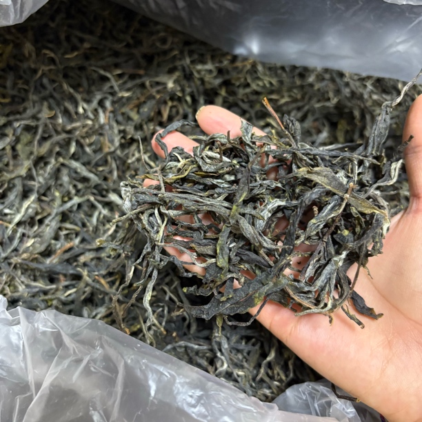 2025·忙糯黄草林古树头春·250克装