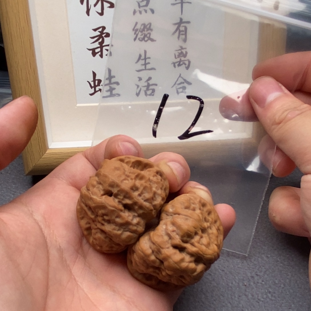 文玩核桃把件蛤蟆头41尺寸蛙饼轻微扫尖