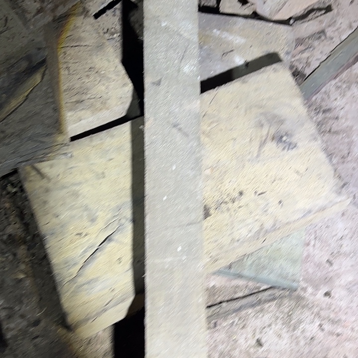 金丝楠啊啊啊啊啊啊