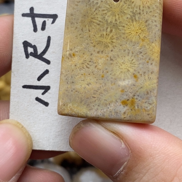 硅化珊瑚（珊瑚玉）未镶嵌颈饰