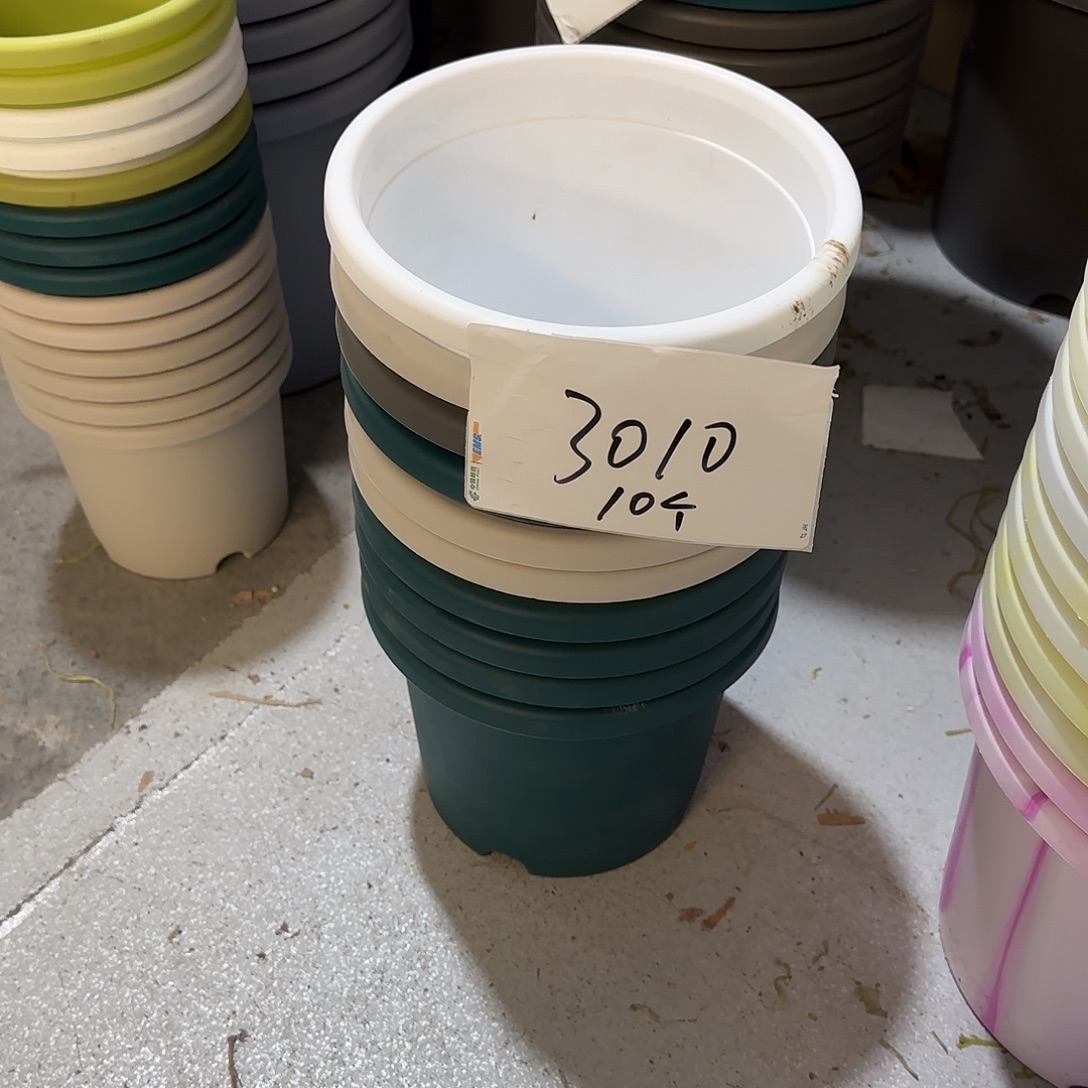 编号3010，3号瑕疵