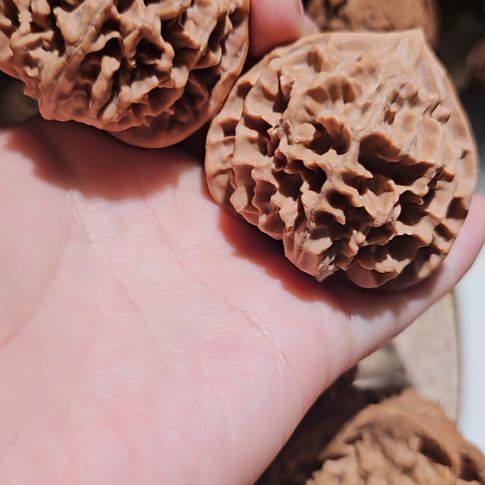 吊坠文玩核桃50帝王狮子