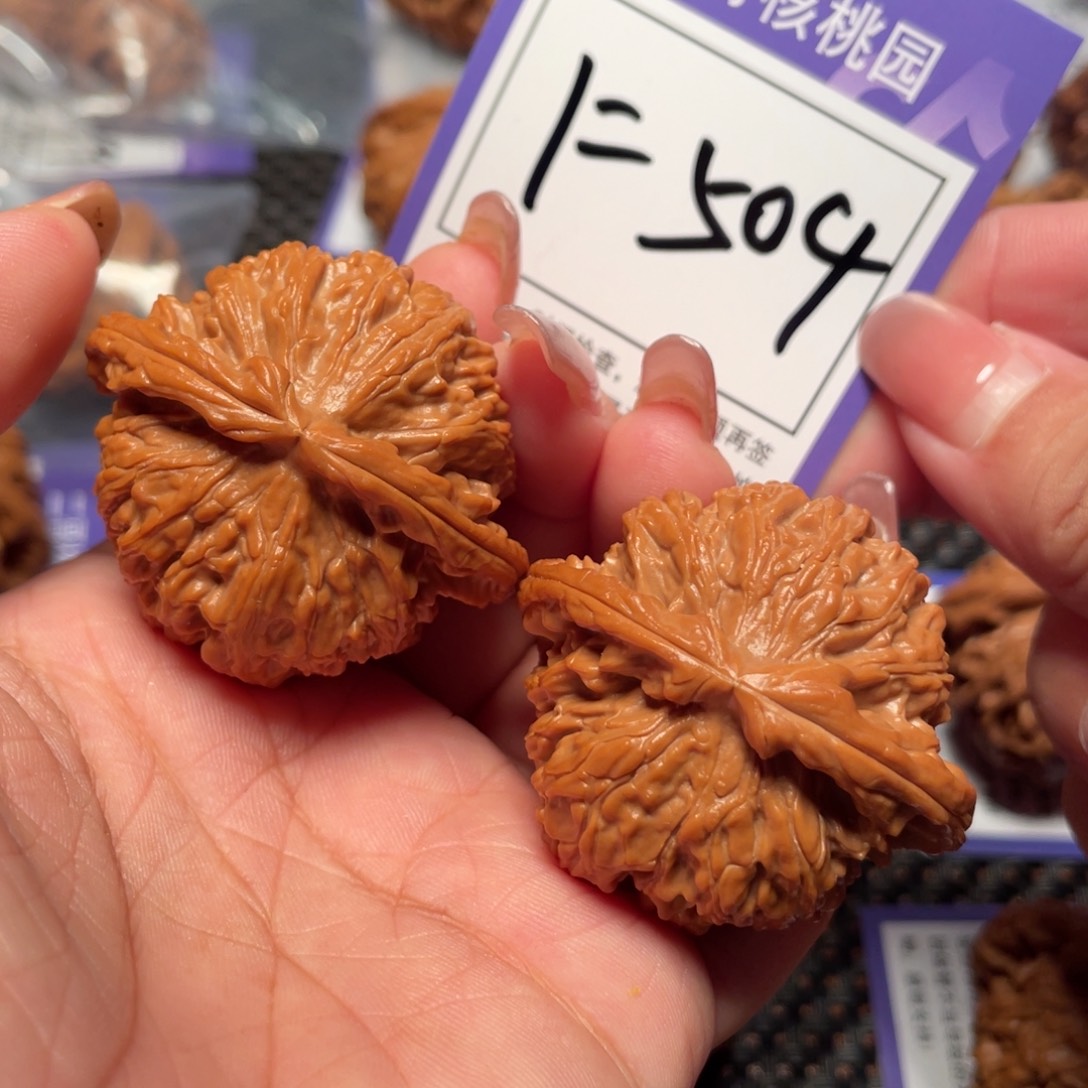 把件桃核504号白狮子44