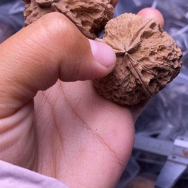 吊坠文玩核桃   110