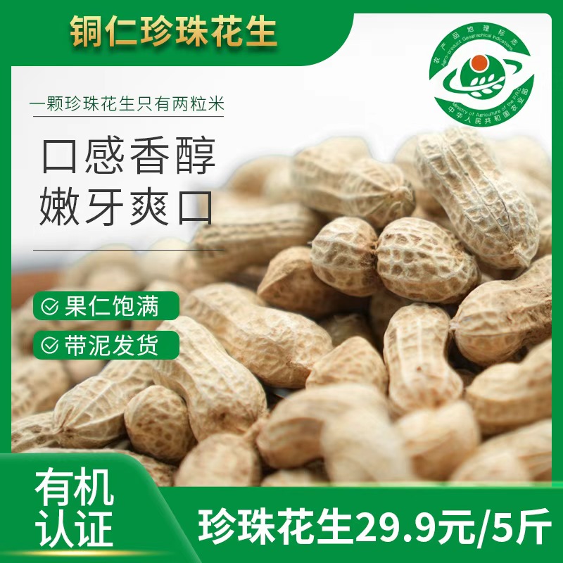 25年贵州铜仁梵净山珍珠花生新花生香花生现摘现发可水煮生吃