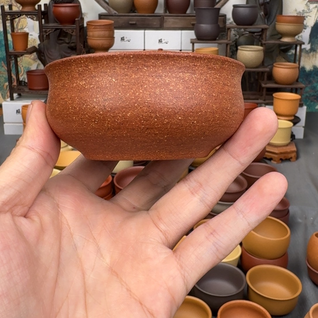 茶杯紫砂555555254542525