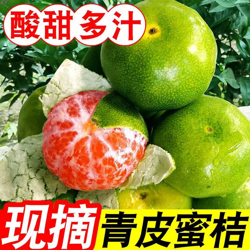 现摘青皮蜜桔无籽无核薄皮多汁酸甜爽口应季水果