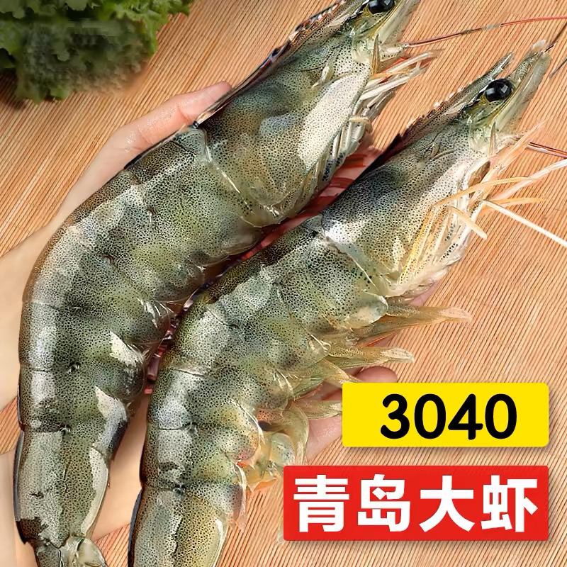 3040活冻青岛大虾单只15-18厘米 净重三斤 