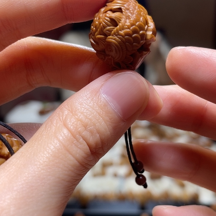 橄榄核其他荷花鱼