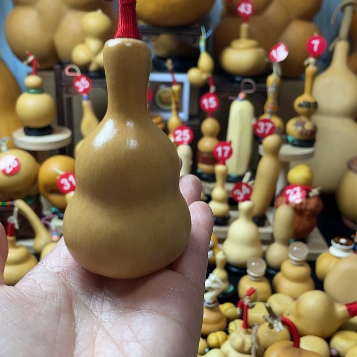 发***哥葫芦丝老师在讲英语听力时