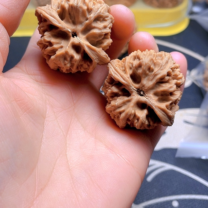 文玩核桃吊坠野牛狮子头