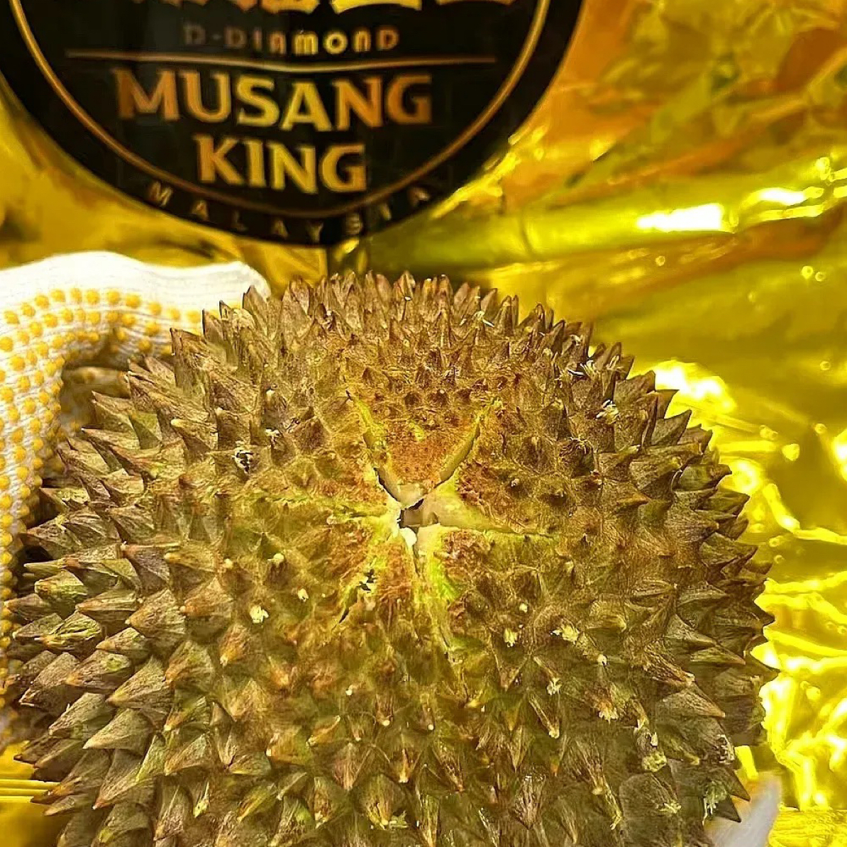 一物一拍，马来西亚/D197猫山王（保五房肉）98元一斤约4.2斤重，新鲜，整果，核小猫山王马来西亚