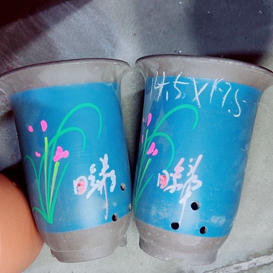 红陶紫砂紫砂紫砂