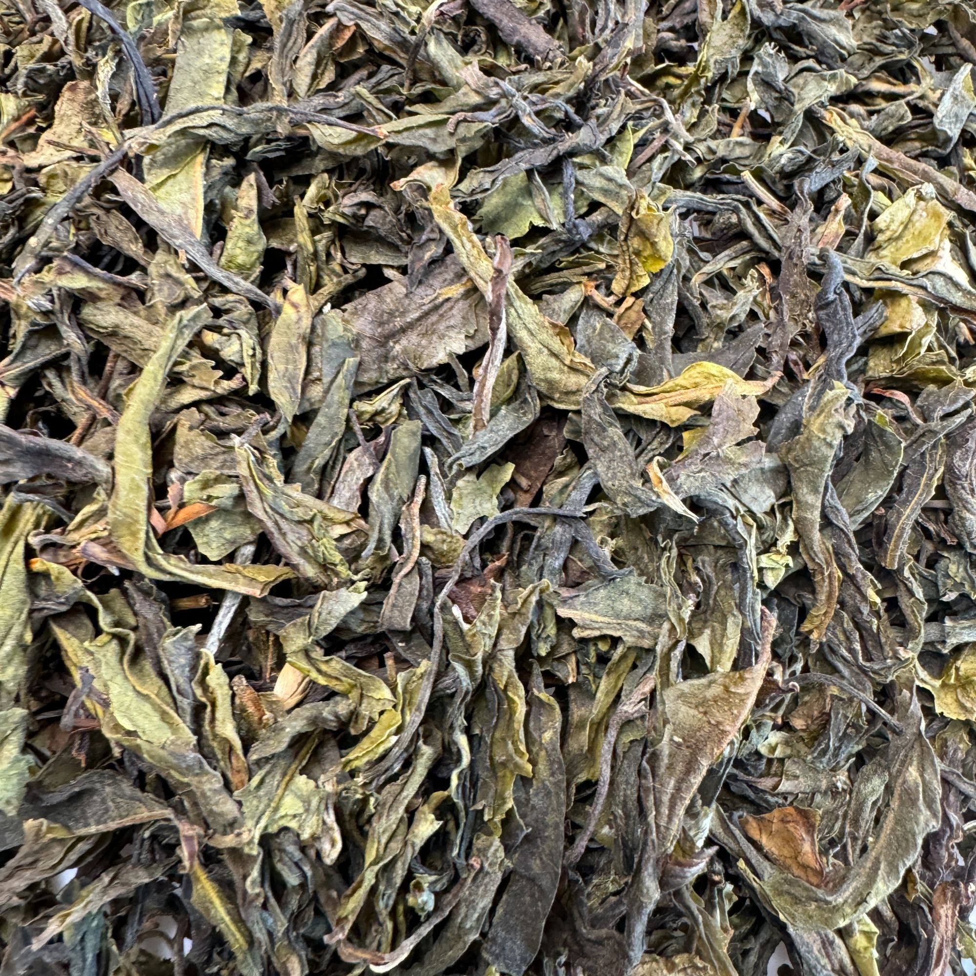 2025年头春那罕一类单株大黑条 头春 普洱茶（生茶）散茶