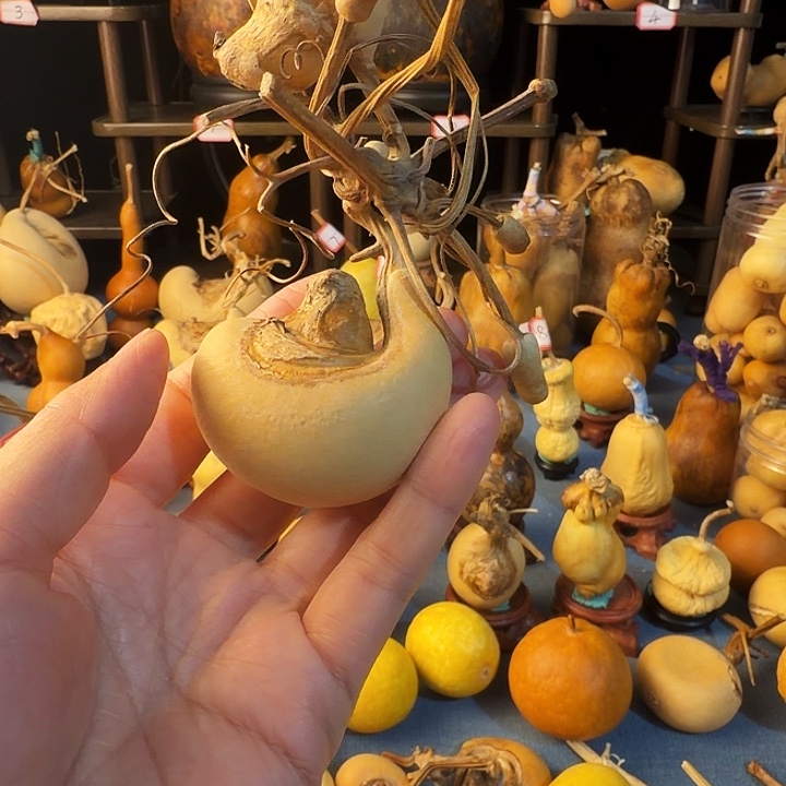 方***'大叶紫檀（黑酸枝木类）