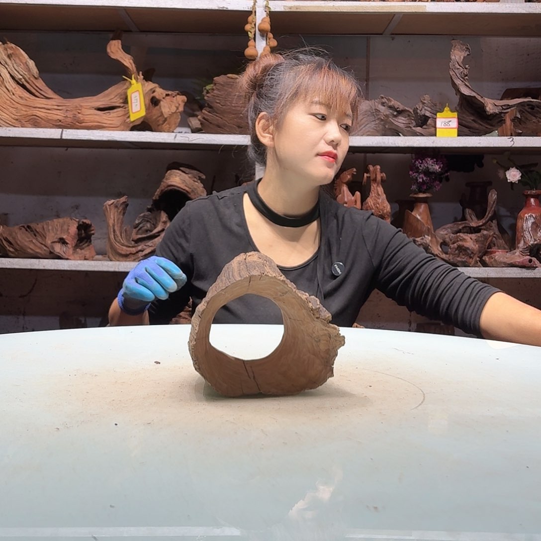 紫砂倍储沉木南**风鬼柳树洞