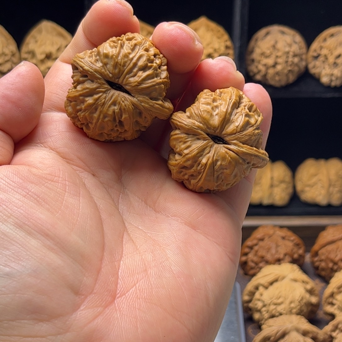 文玩核桃吊坠元宝38尺寸