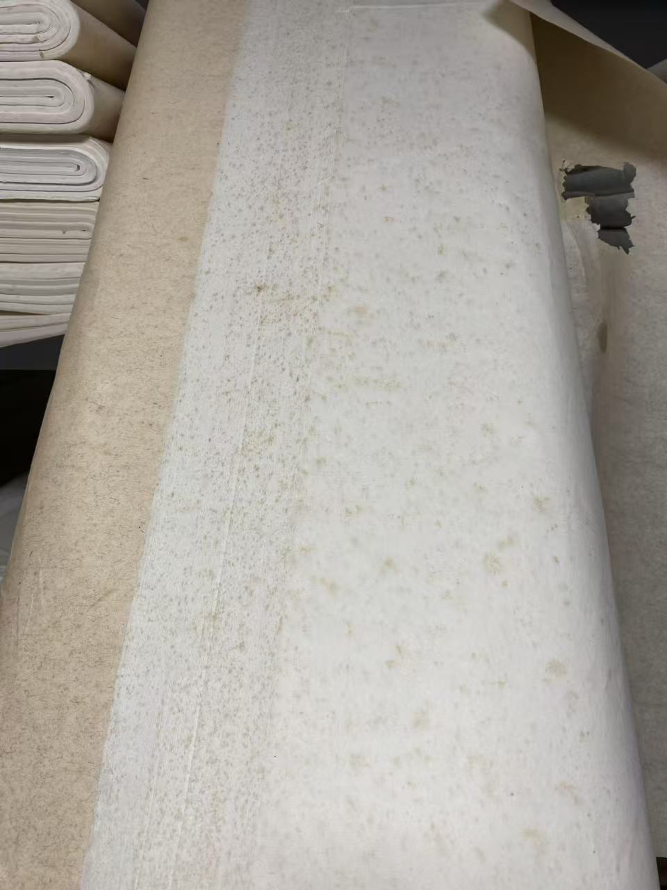 小六尺皮草宣陈纸