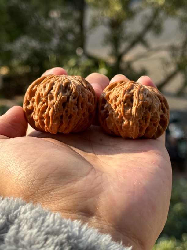 精对红皮歪磨 尺寸41.5 克重42.6 文玩核桃 一图一物发货