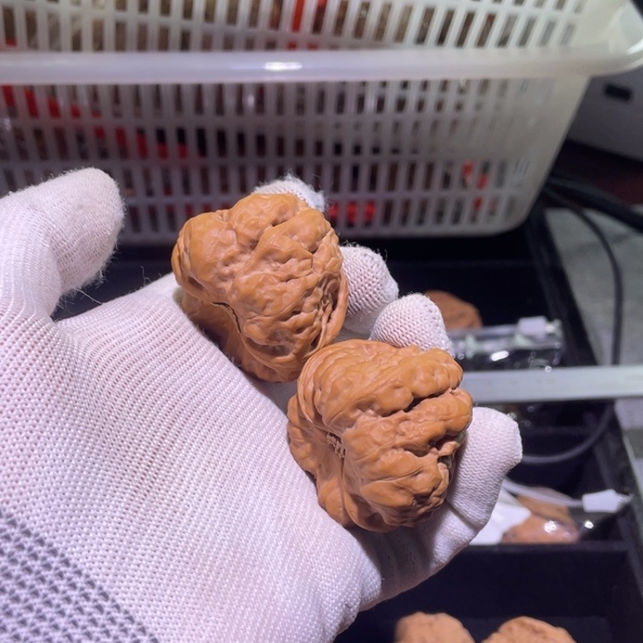 文玩核桃把件蛤蟆头25