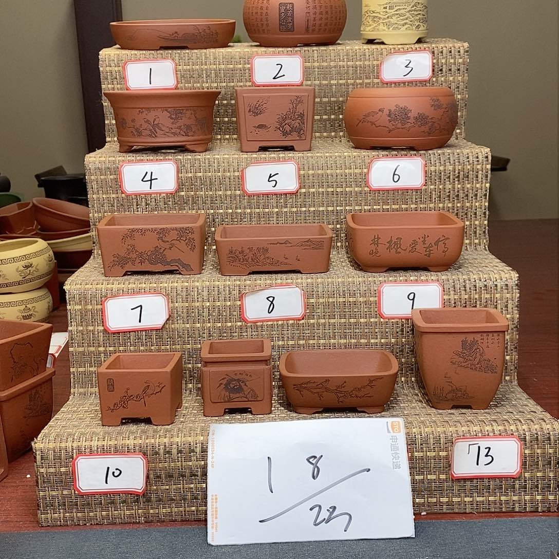 紫砂花盆你**来我在等一