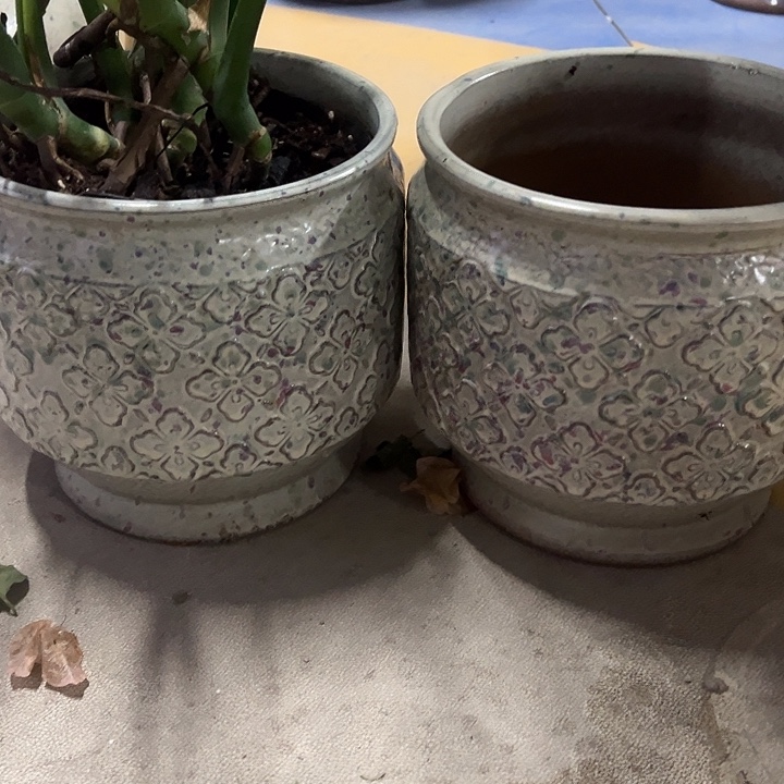 正品高度18厘米口径18