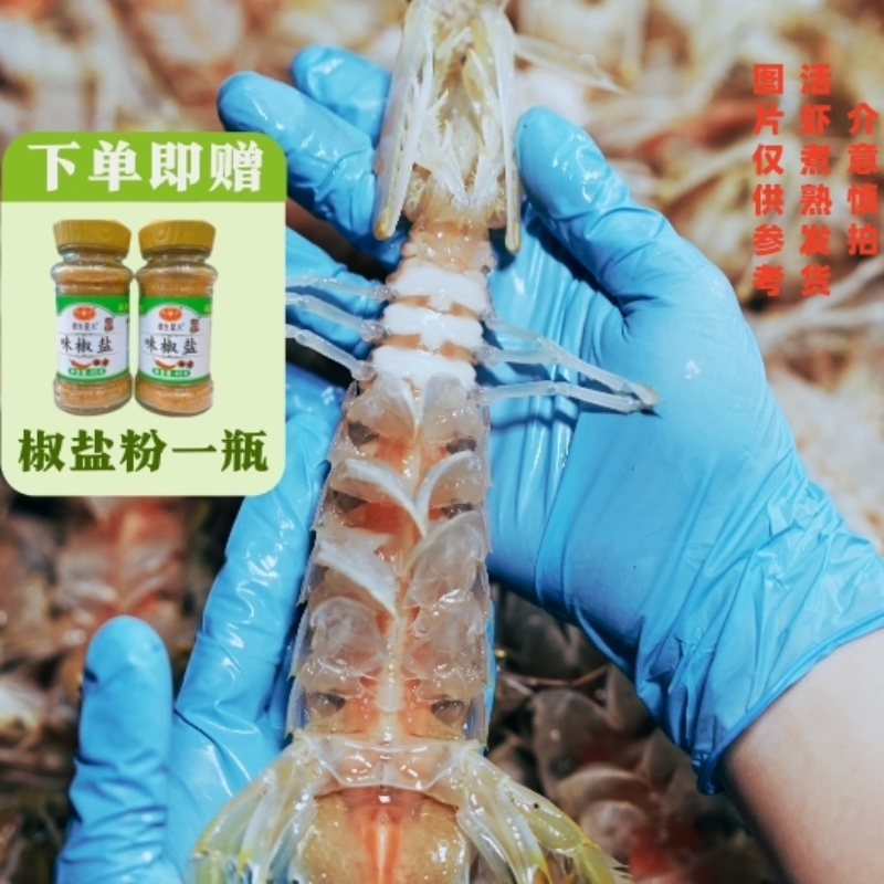 [顺丰包邮]北海皮皮虾濑尿虾熟蒸发货特大虾爬子超大号直发