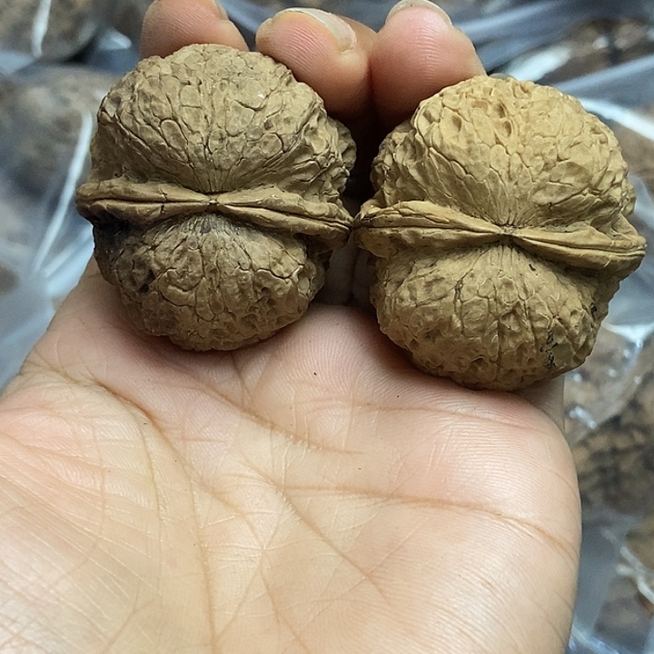 文玩核桃把件云南铁核桃基地11