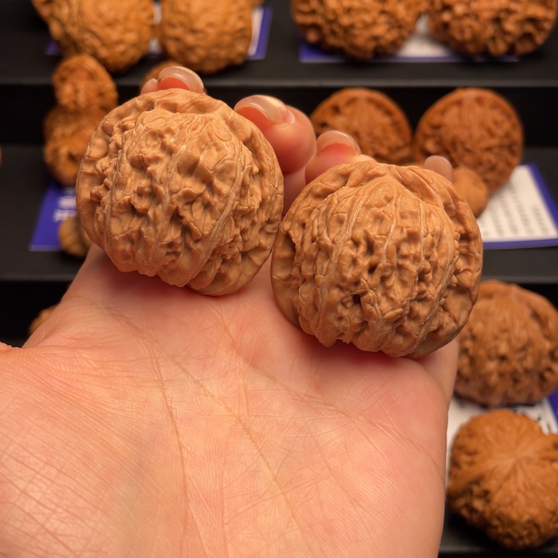 文玩核桃把件40白狮子全品