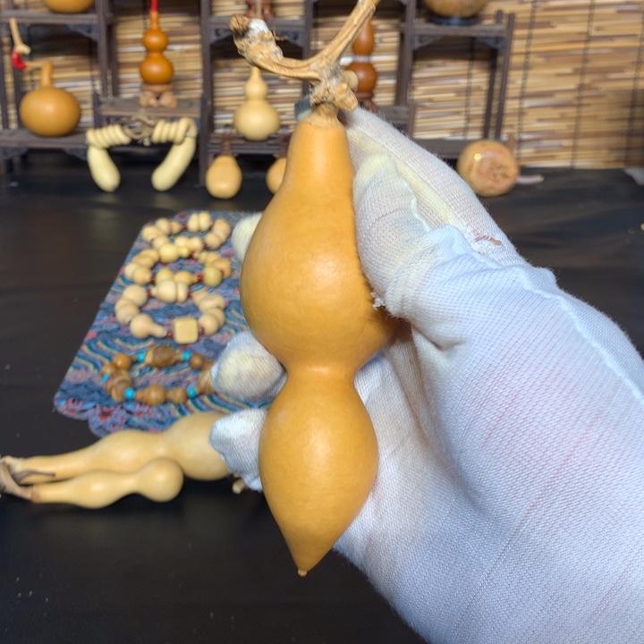 奶盖在床底下躺在了被