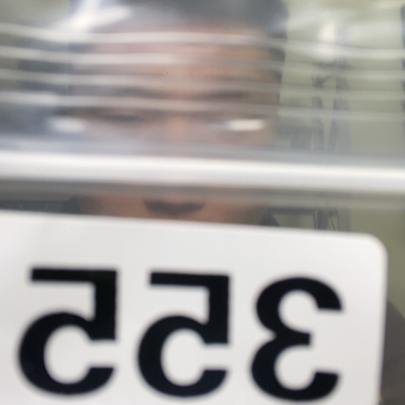 【闪购商品】大果紫檀（缅甸花梨）王**@355